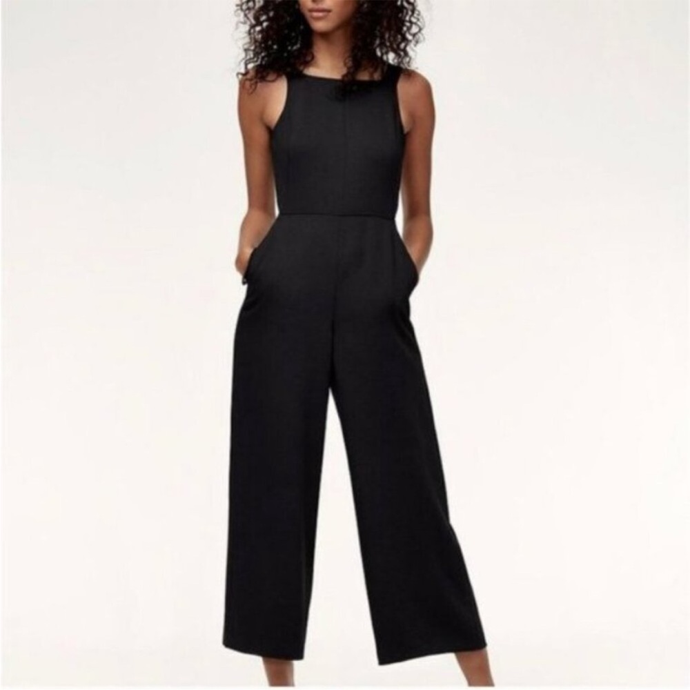 Aritzia Wilfred Jumpsuit